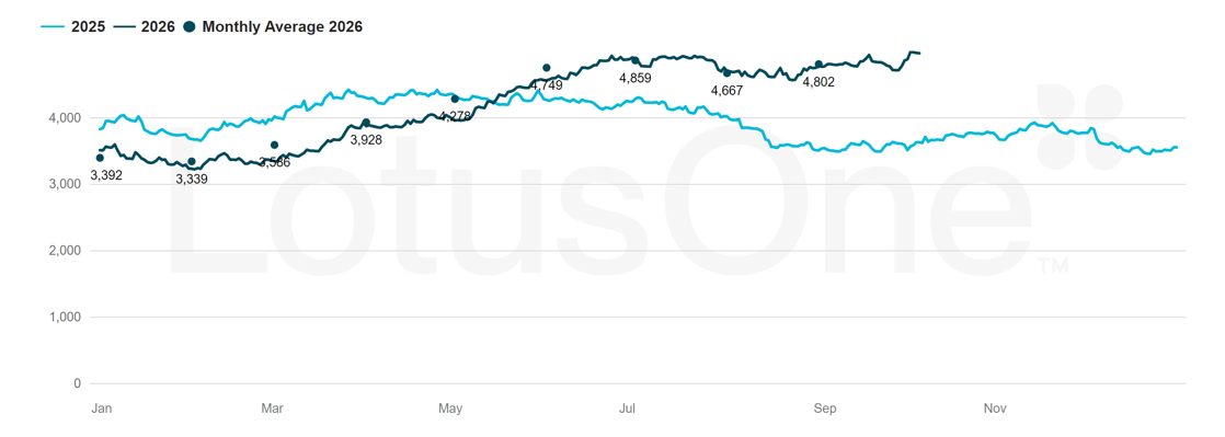 Line chart comparing monthly travel allied health job volumes in 2025 and 2026.